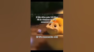 If this video gets 100 likes I will do whatever the top comment says #memes #shorts