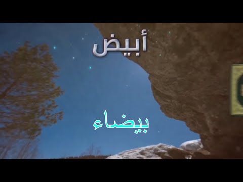 ابيض وبيضاء عل م القرآن