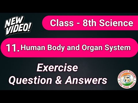 11 Human body and organ system Exercise|STD 8 science chapter 11 human ...