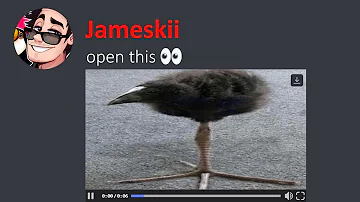 The Most Unusual Discord Videos 12