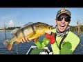 Fishing Peacock Bass in the Amazon pt.1 | AWESOME Topwater Strikes!