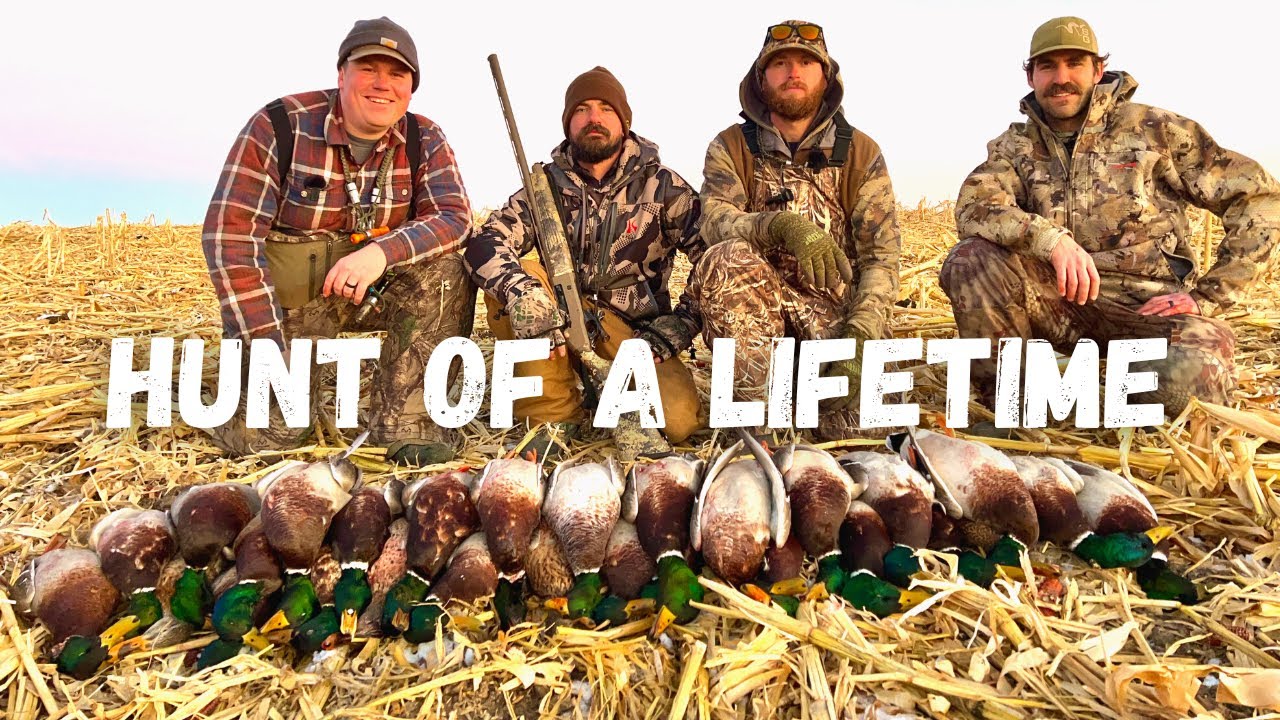 1000s of DECOYING MALLARDS!!! (4 MAN LIMIT) Duck Hunt of a Lifetime