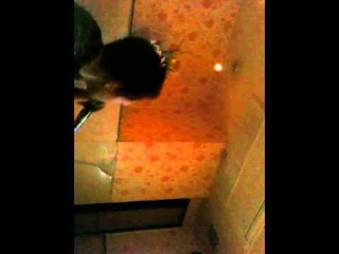 おしりかじり虫