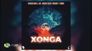 Afrikan Roots, Dj Jive and Vincent Methe Musique - Xonga (Original Mix)