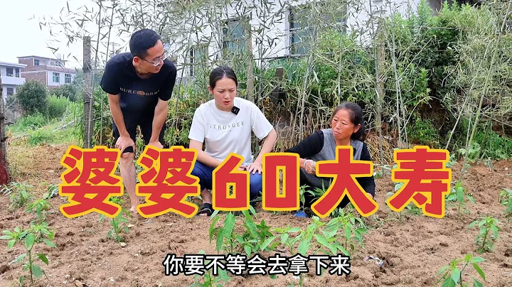 婆婆马上60岁生日了，儿媳妇却犯了难，最后惹怒婆婆还要离家出走 - 天天要闻