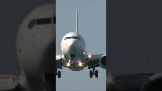 OMG 🤯 Aircraft landing over your head 😳 #shorts #aviationvideo #aviation