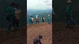 Hmoob Lub Neej Nyob Toj Siab Sib Pauv Zog Mug Ua Teb