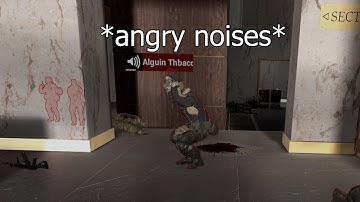 Pavlov VR in a Nutshell