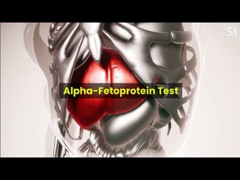 What is Alpha-Fetoprotein ?
