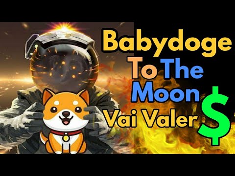 Babydoge e Seu Verdadeiro Valor Alem da Listagem na Binance 🚀 Entenda..