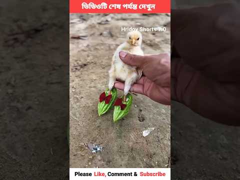 Chiki k notun juta baniye dilam😂 chinese funny video 😂 #shorts #viral #trending