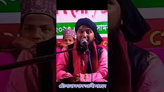 মুল্লাহ রে ছাড়া তোর কবোর দেবে না gozol nobabali bangla gojolgojol