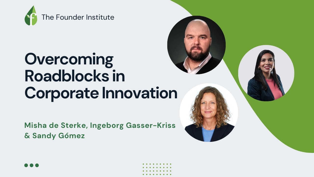 Outline Video How Corporates Can Innovate: Insights from Ingeborg Gasser-Kriss & Sandy Gomez & Misha de Sterke