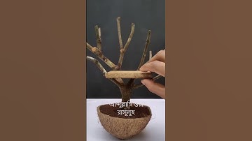 "Ultimate Color Sorting: Satisfying & Calming ASMR | Watch to Relax!"