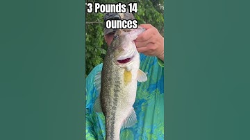 Imagine If She Wasn’t Post Spawn