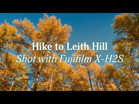 Hiking to Leith Hill - Shot with Fujifilm X-H2S