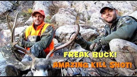 Amazing Mule Deer Hunt and Kill Shot, Freak Mule Deer Buck, Tines Up