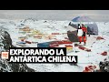 Metaverso Antártico: La importancia de la Antártica para Chile y cómo explorarla jugando