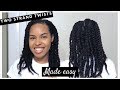 Two Strand Twists Made Easy | Tips for Achieving the Best Two Strand Twists |  Natural Hair