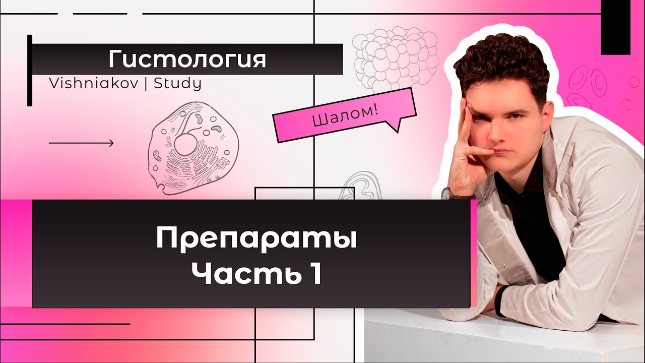 Гистология | ПРЕПАРАТЫ. Часть 1 - YouTube