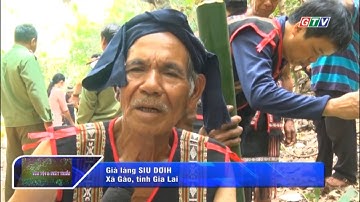 🌳 JRai: Lễ cúng thần rừng – Nét văn hóa tâm linh gắn liền bảo vệ môi trường