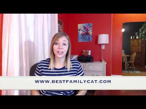 how-to-stop-cat-peeing-on-carpet---how-i-solved!
