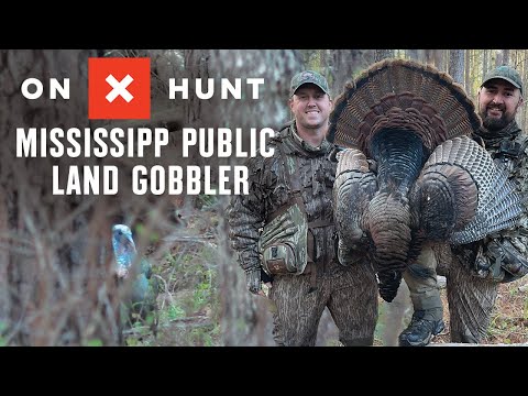 Mississippi Public Land Gobbler - video from onXmaps