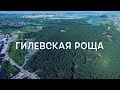 Обновлённая Гилевская роща/Тюмень