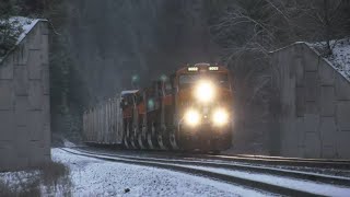 (4K) Two Manifests and an Autorack Train at East Ripley on BNSF's Kootenai River Subdivision
