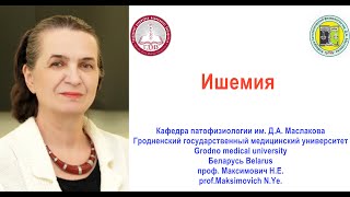 картинка: Ишемия. Лекция. Ischemia. Lecture. Professor Maksimovich N.Ye.