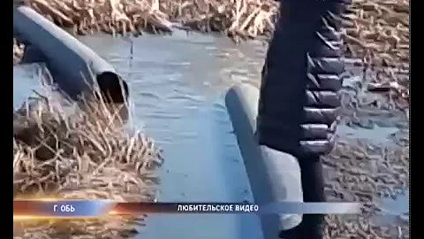 огороды в фекалиях