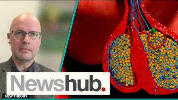 Research shows oxytocin could be used as an appetite suppressant | Newshub