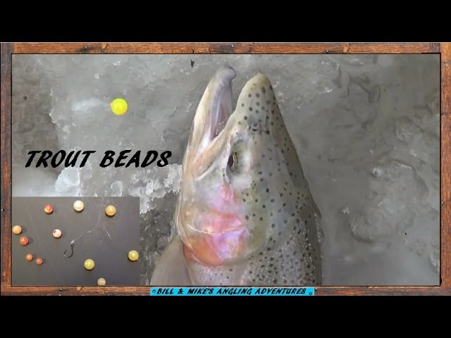 TROUT BEAD RIG - EGG IMITATION SET UP 