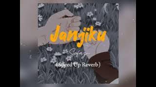 Janjiku - Sofaz (Speed Up   Reverb)