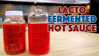 🌱 LACTO Fermented HOT Pepper / Hot Pepper Sauce Recipe