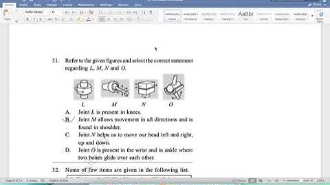 NSO 2022 2023 SET A PREVIOUS YEAR PAPER SET A NSO CLASS 6 PREVIOUS YEAR PAPER 2022 class 6 NSO 2023