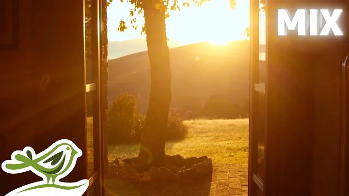 Best of Peaceful Morning Music by Peder B. Helland