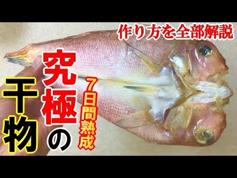 アマダイで一生使える干物の作り方を解説してみた ステイホームに最適 甘鯛の究極の一週間干し Youtube