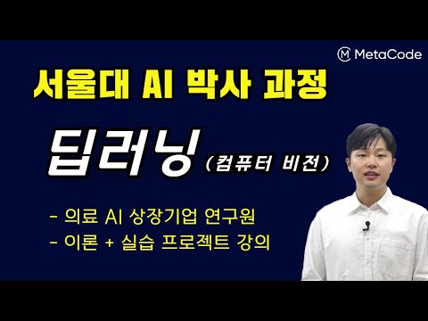 딥러닝 무료강의 2시간 완성 - [서울대 AI 박사] - 컴퓨터비전 이론, 코딩 실습