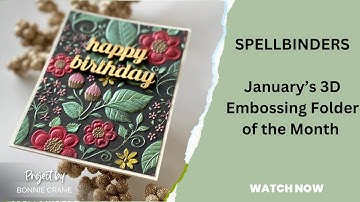 Spellbinder’s 3D Embossing Folder of the Month for January