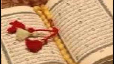 تلاوة مميزة لسورة الحج بصوت القارئ الشيخ فيصل الرشيد