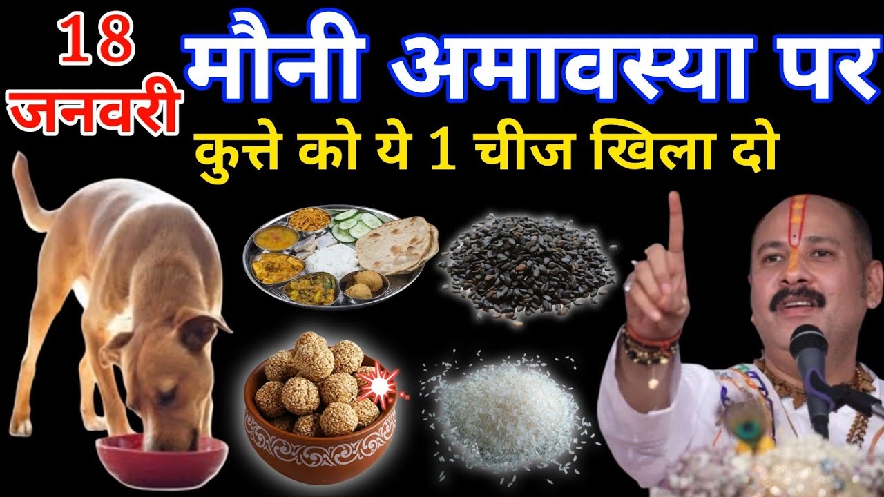 18 जनवरी मौनी अमावस्या पर कुत्ते को यह एक चीज खिला दो,,, गरीबी होगी दूर// 