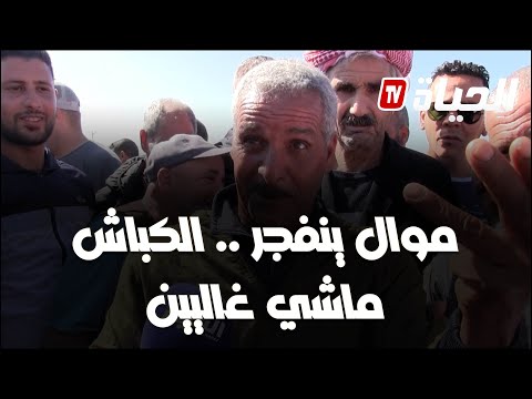 موال من سكيكدة هو ساكن في المدينة شهار و مسوري و عندو لاروترات ويقلك خفض في سومة الكبش 