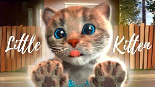 LITTLE KITTEN ADVENTURE GAME  KITTEN REACTIONS  FUNNY CATS CUTE LITTLE KITTEN ANIMATED CARTOON