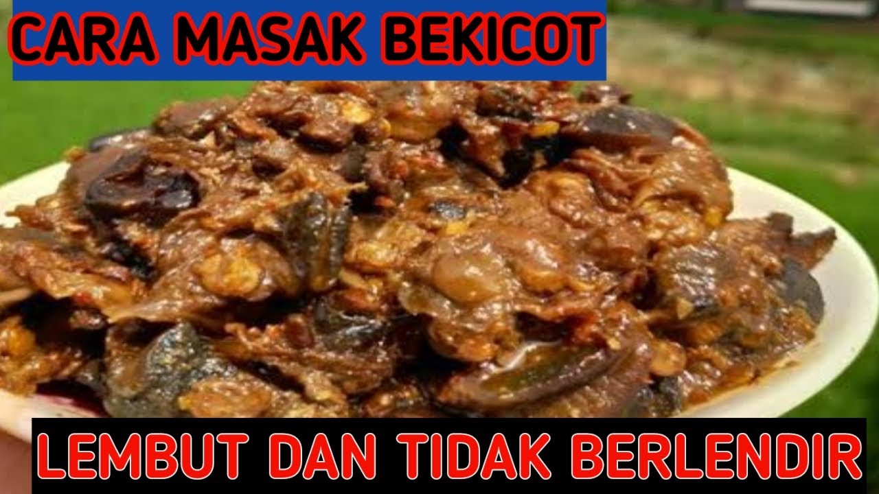 CARA MASAK BEKICOT MUDAH DAN LEZAT 