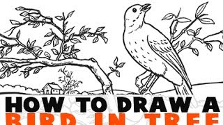 This drawing tutorial will teach you how to draw a bird sitting on
branch in tree video is companion the written http://howtodrawda...