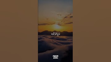﴿ صُنعَ اللَّهِ الَّذي أَتقَنَ كُلَّ شَيءٍ﴾ سورة النمل | عبدالرحمن مسعد #عبدالرحمن_مسعد #سورة_النمل