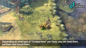 Tree of savior Companion ซับไทย