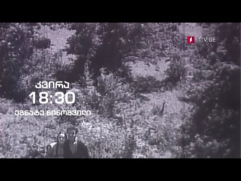 ეგნატე ნინოშვილი - გადაცემაში „ჰოპლა! ჩვენ ვცოცხლობთ\