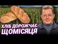ЧОМУ ХЛІБ ДОРОЖЧАЄ? Пендзин про причини і прогноз на ціни